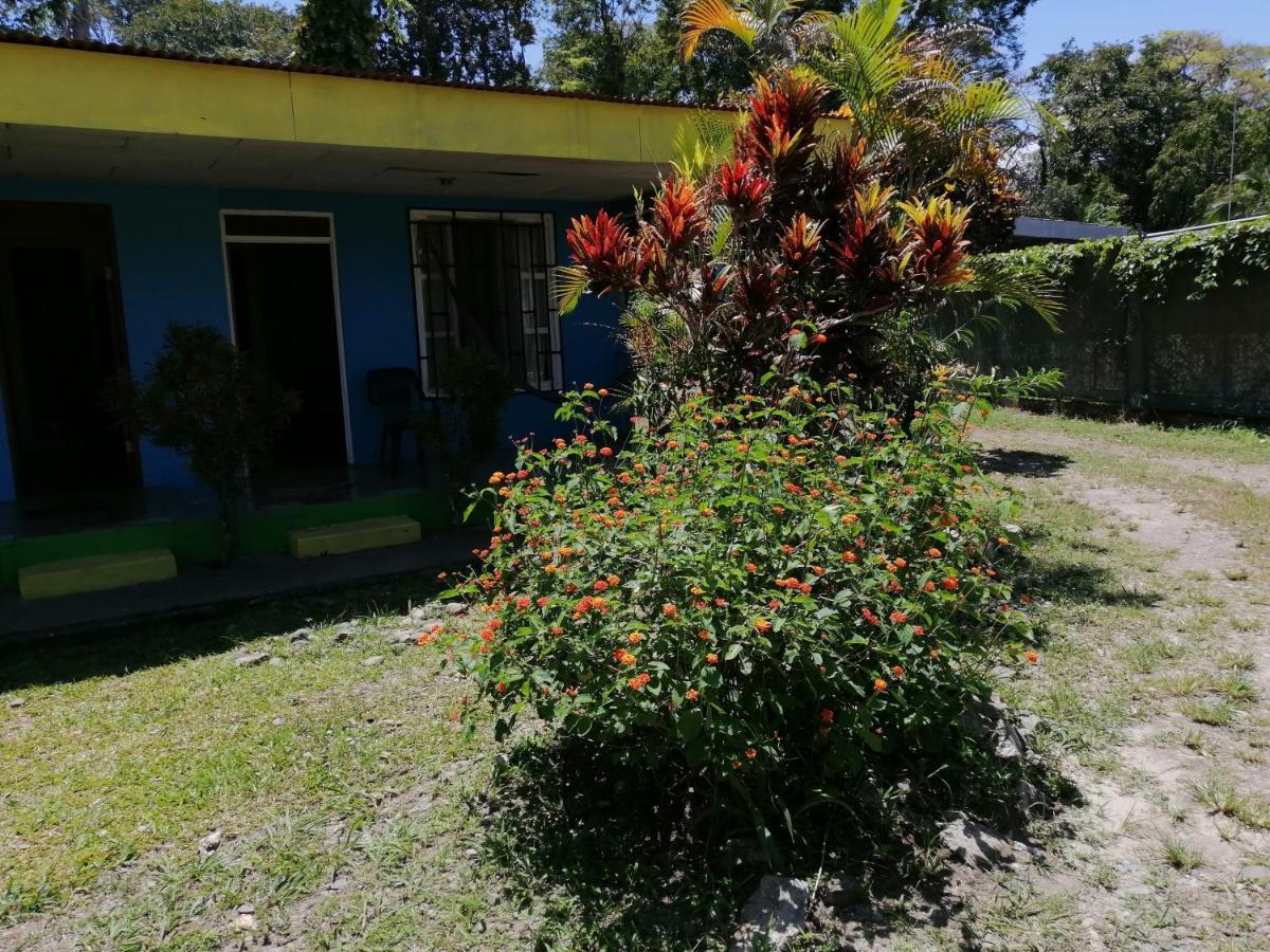 Magic Flower Rooms Cahuita Exterior foto